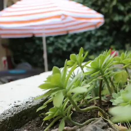 Spinut & Marjan Appartement Split